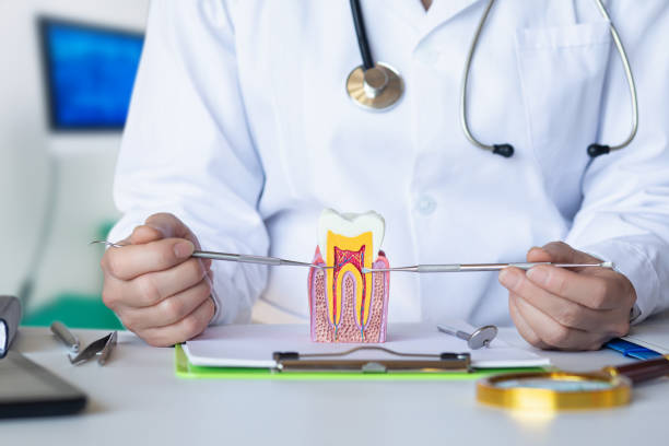 Best Emergency Dental Care for Broken or Chipped Teeth in Maurice, LA